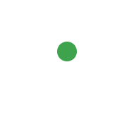 100% vegetarian badge